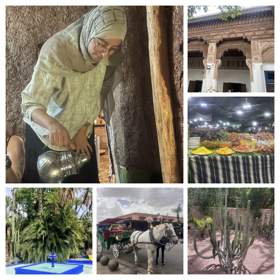 74d5d4bb-273f-4b91-b3f1-492c742e1bca-collage.jpg