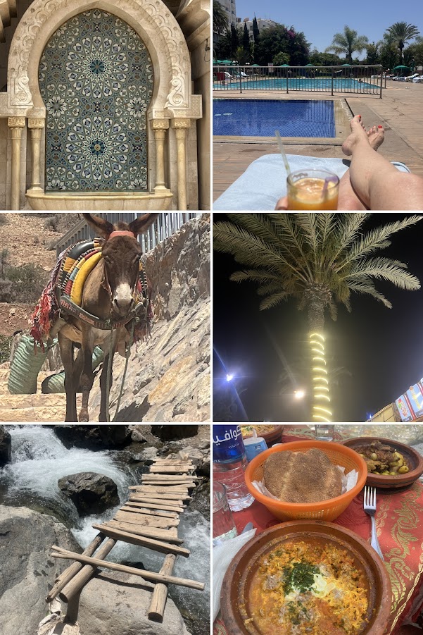 7a4532c6-c3a0-430a-9a5c-cfdfaa967b5b-collage.jpg