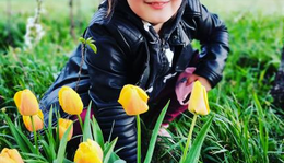 #sárga tulipánok