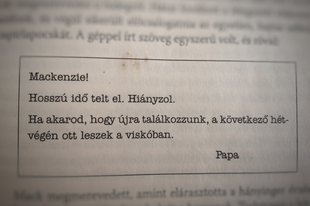 KÖNYVAJÁNLÓ: Wm. Paul Young A viskó