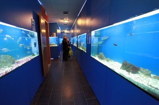 Baška akvárium (Forrás: www.akvarij-baska.com)