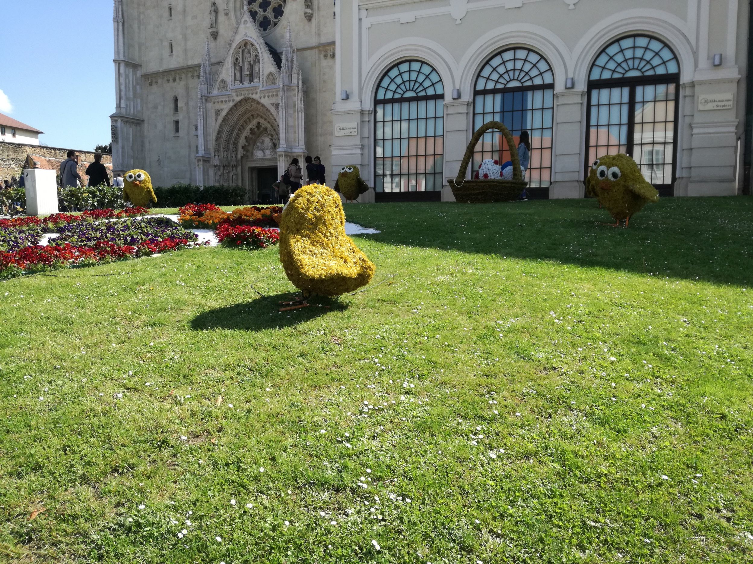 Csibék a dóm előtti parkban