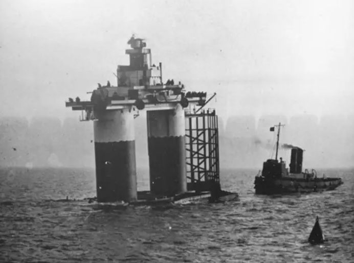 seal14.jpg