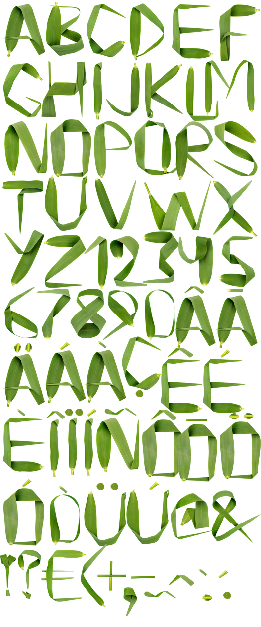 reed-font-alphabet.png