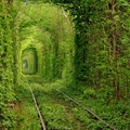 "Tunnel of Love"