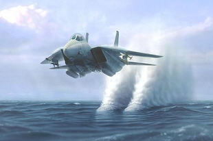 MAKETT: Grumman F-14 Tomcat