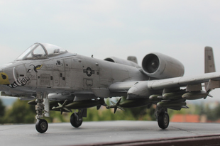 MAKETT: A-10 Warthog