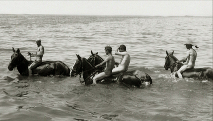 horses_bathing.jpg