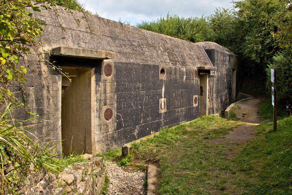 maisy_battery_2.JPG