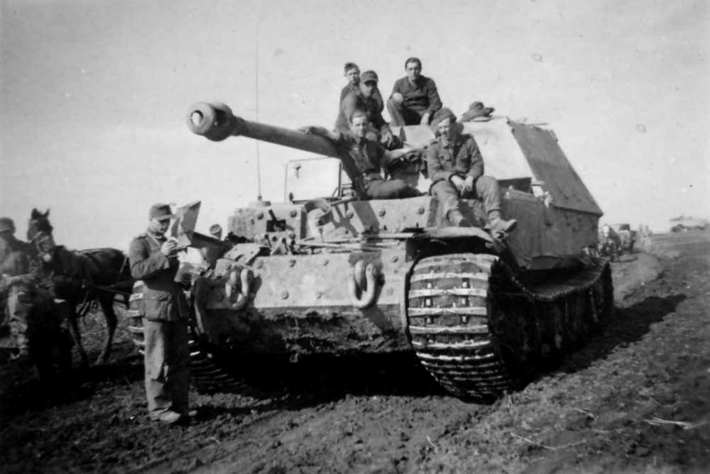 elefant.jpg