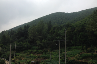 Moganshan 2.nap