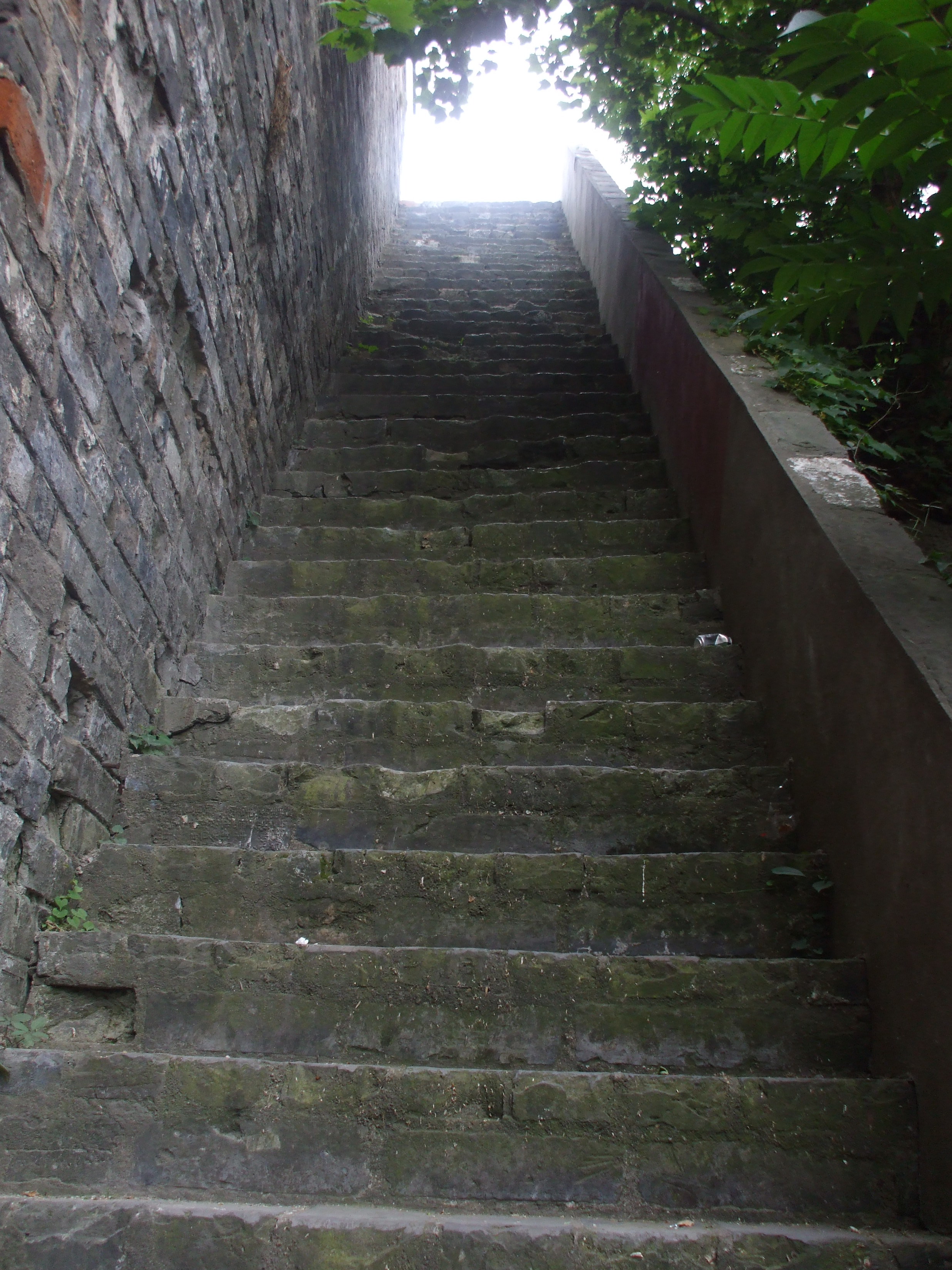DSCF3814.JPG