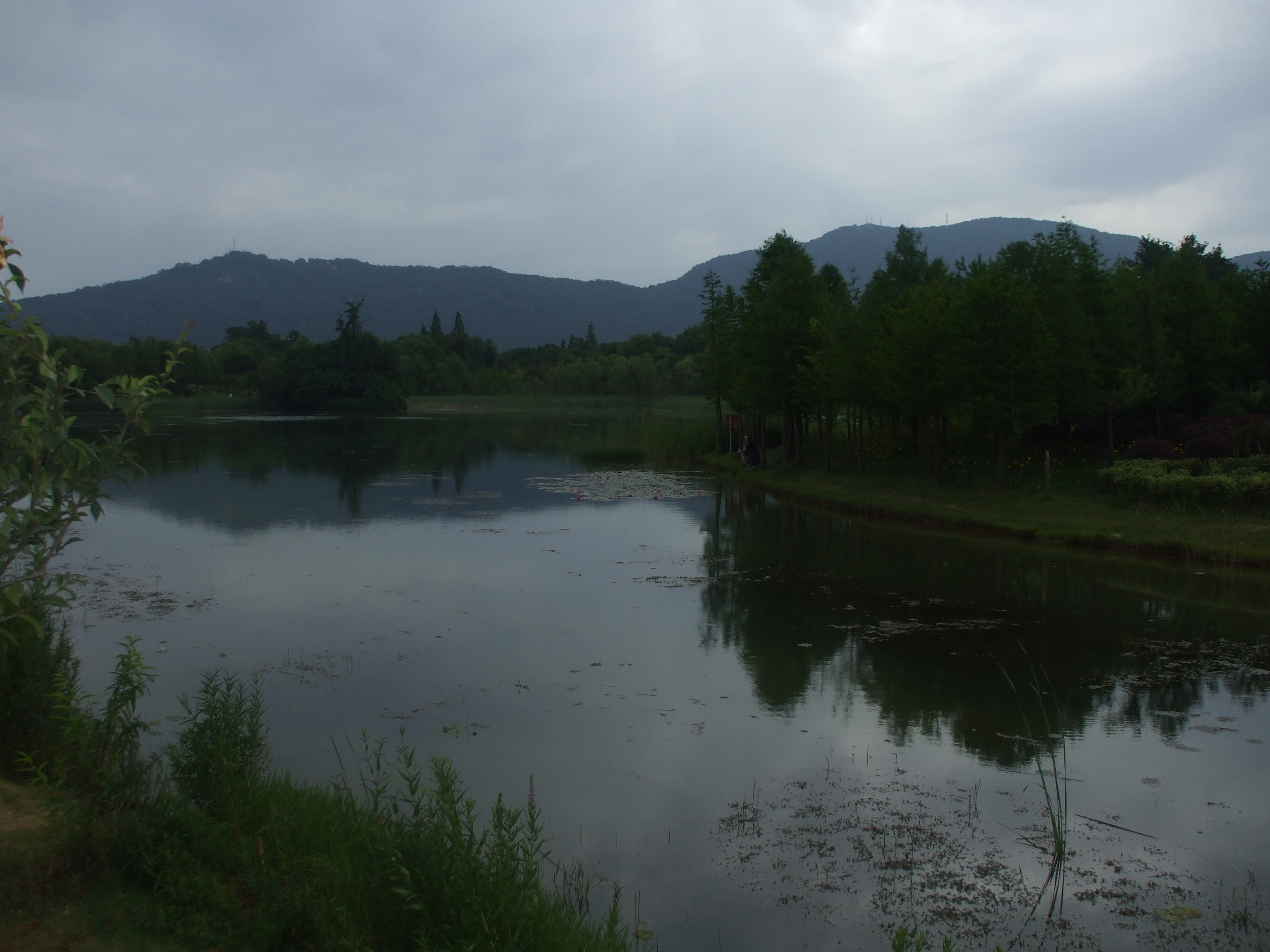 DSCF3865.JPG