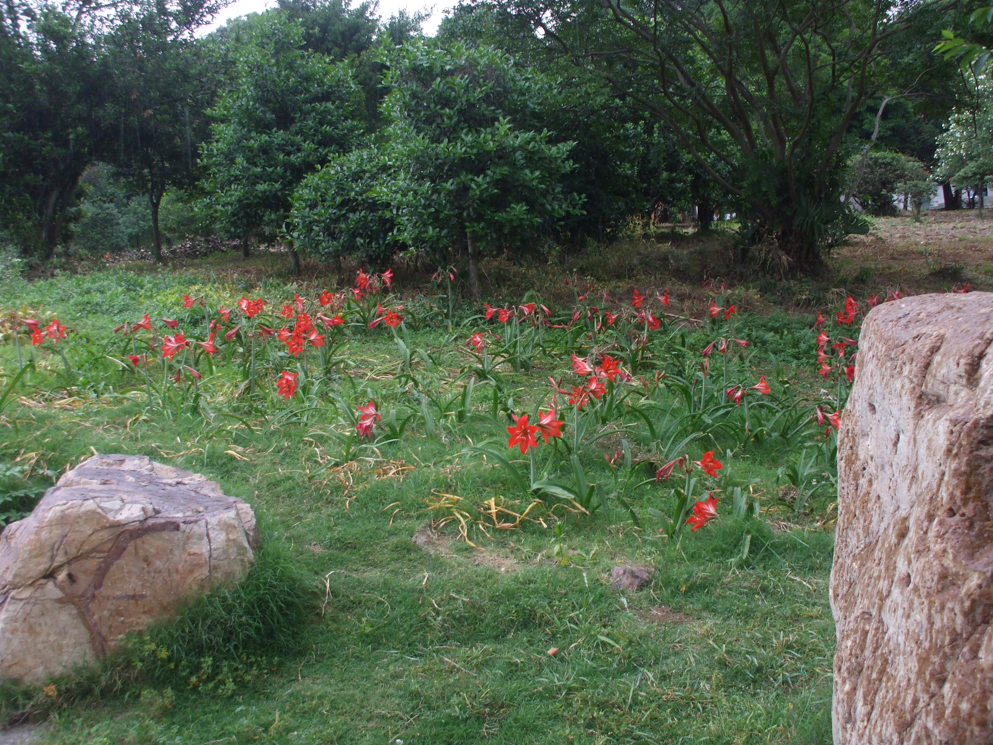 DSCF3914.JPG