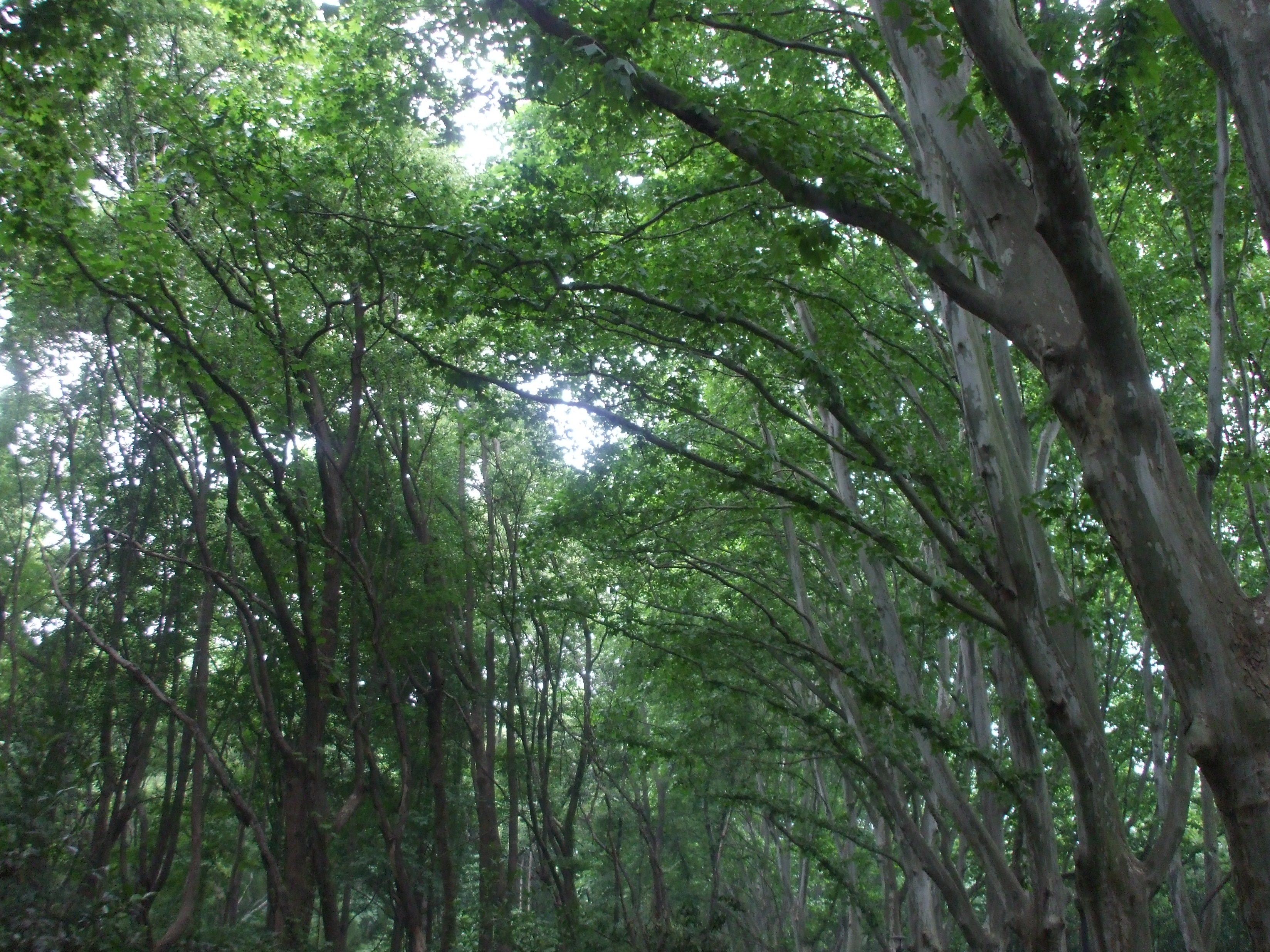DSCF3927.JPG
