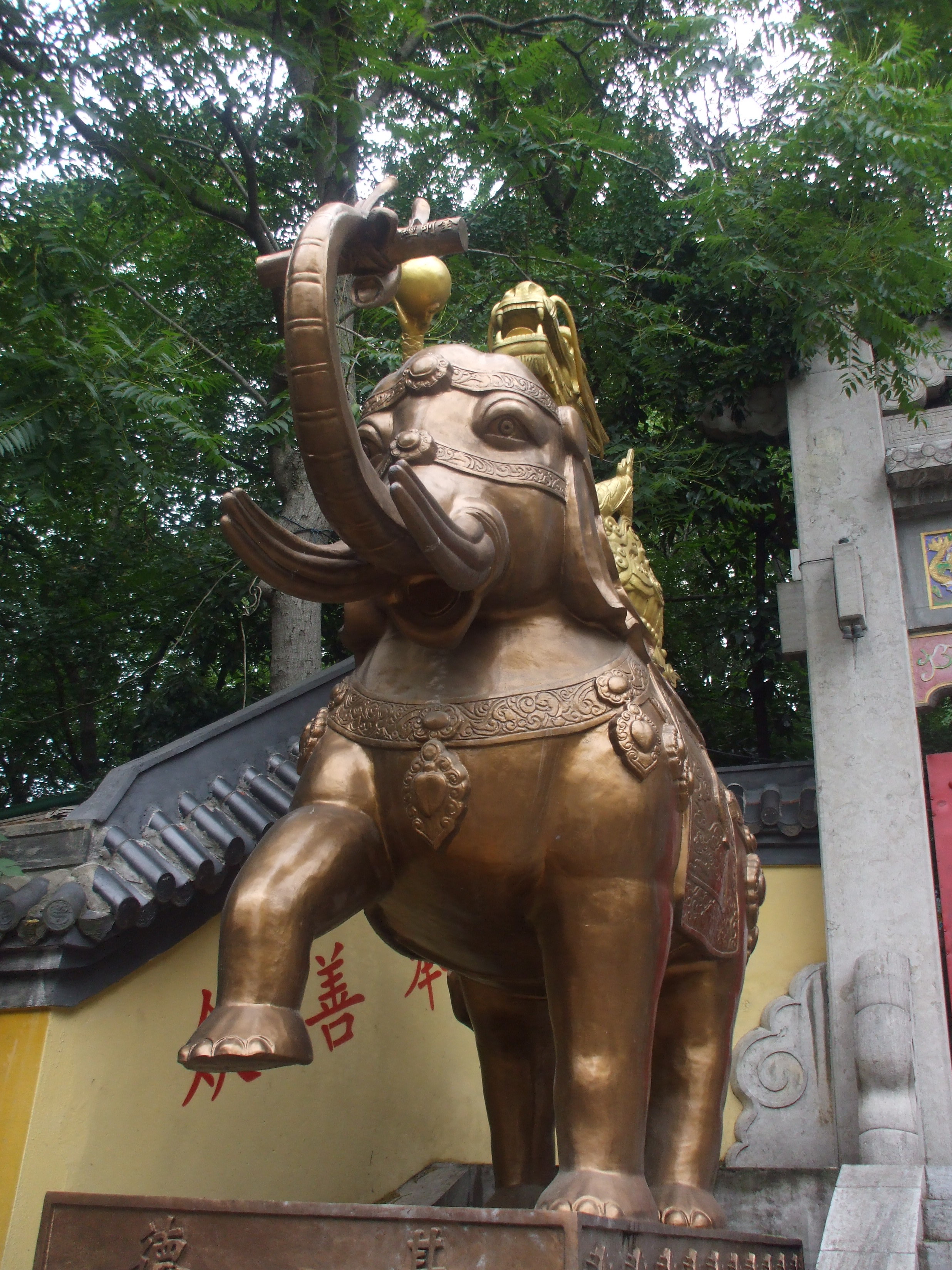 DSCF3985.JPG