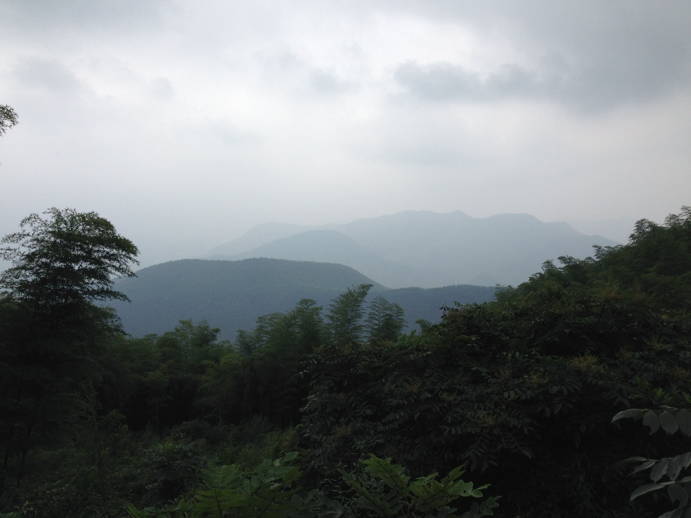 IMG_7722.JPG