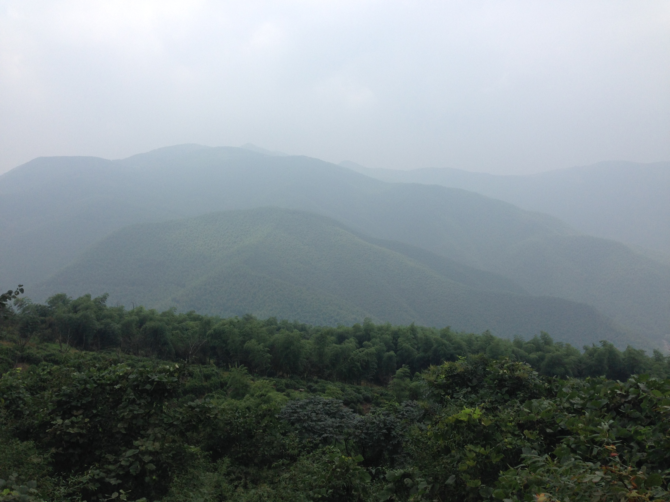 IMG_7749_1.JPG