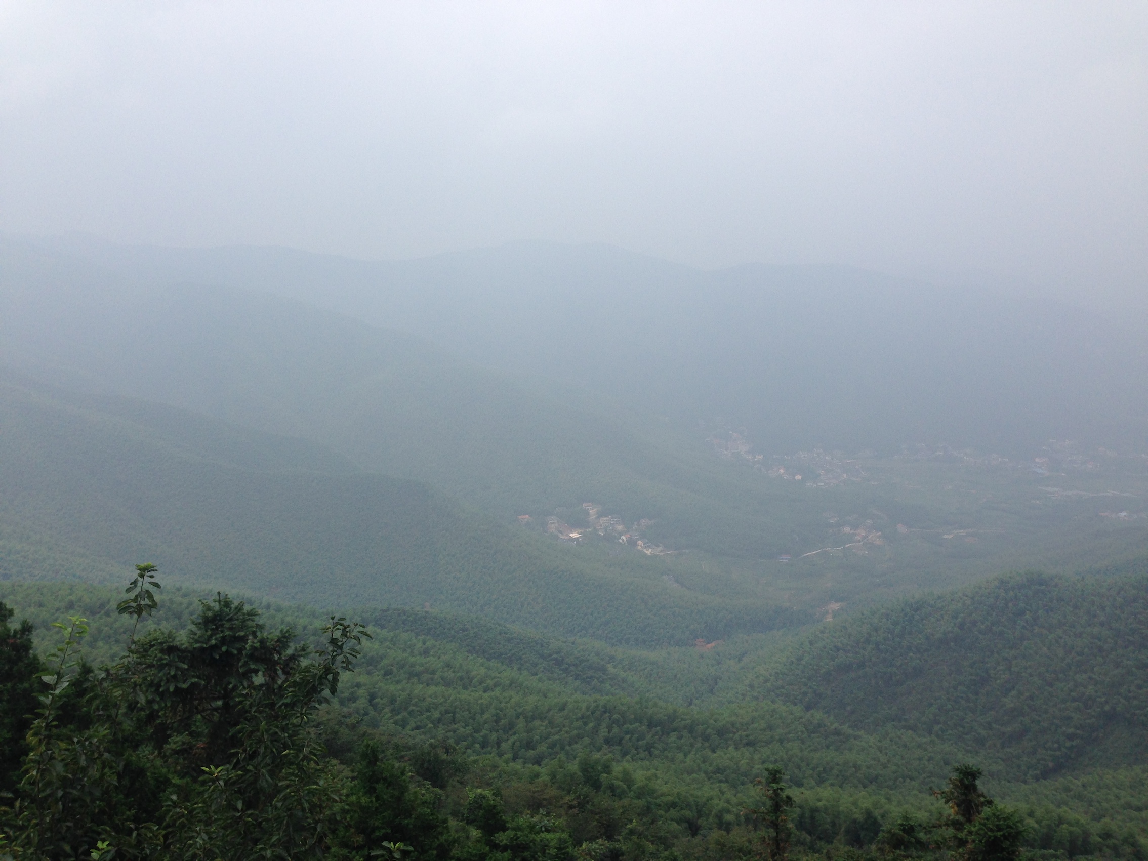 IMG_7754_2.JPG
