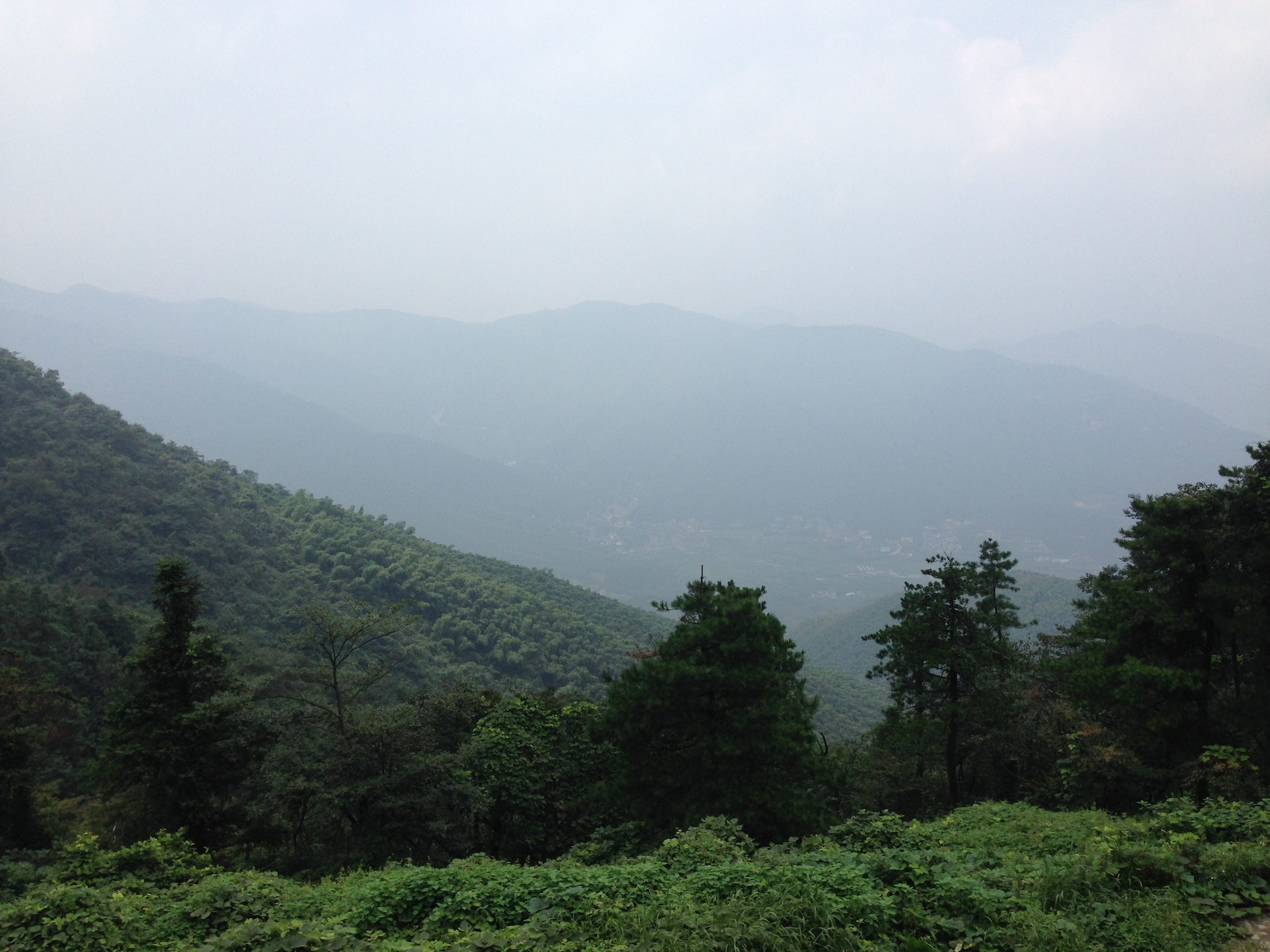 IMG_7763_1.JPG