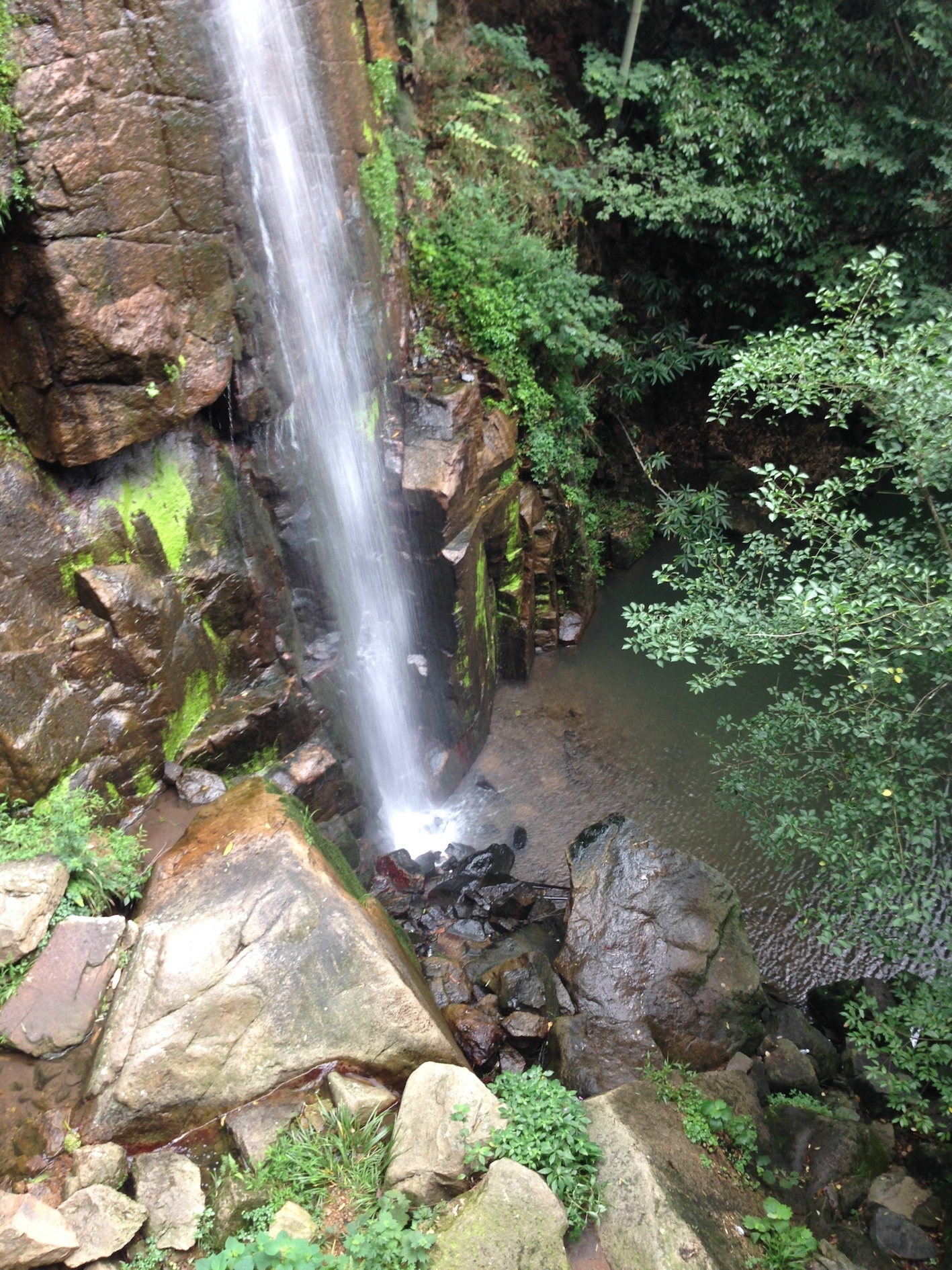 IMG_7784.jpg