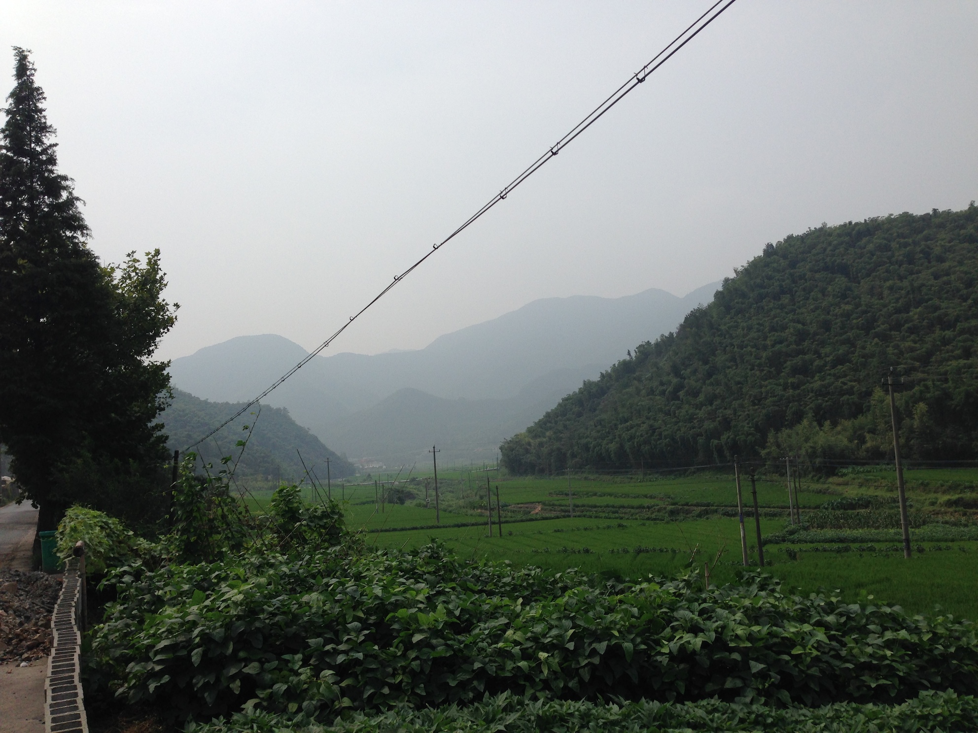 IMG_7844.JPG
