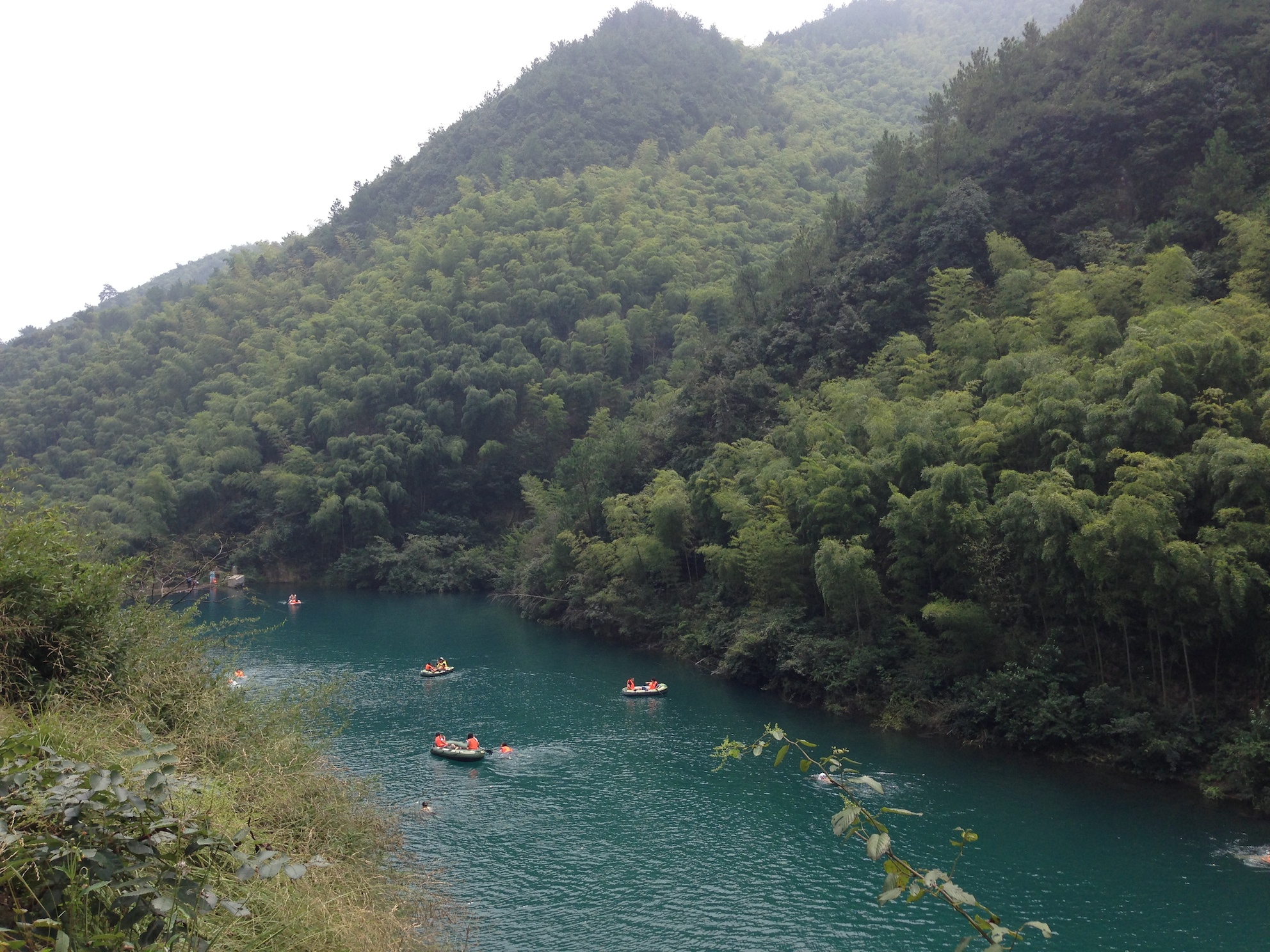 IMG_7871.JPG