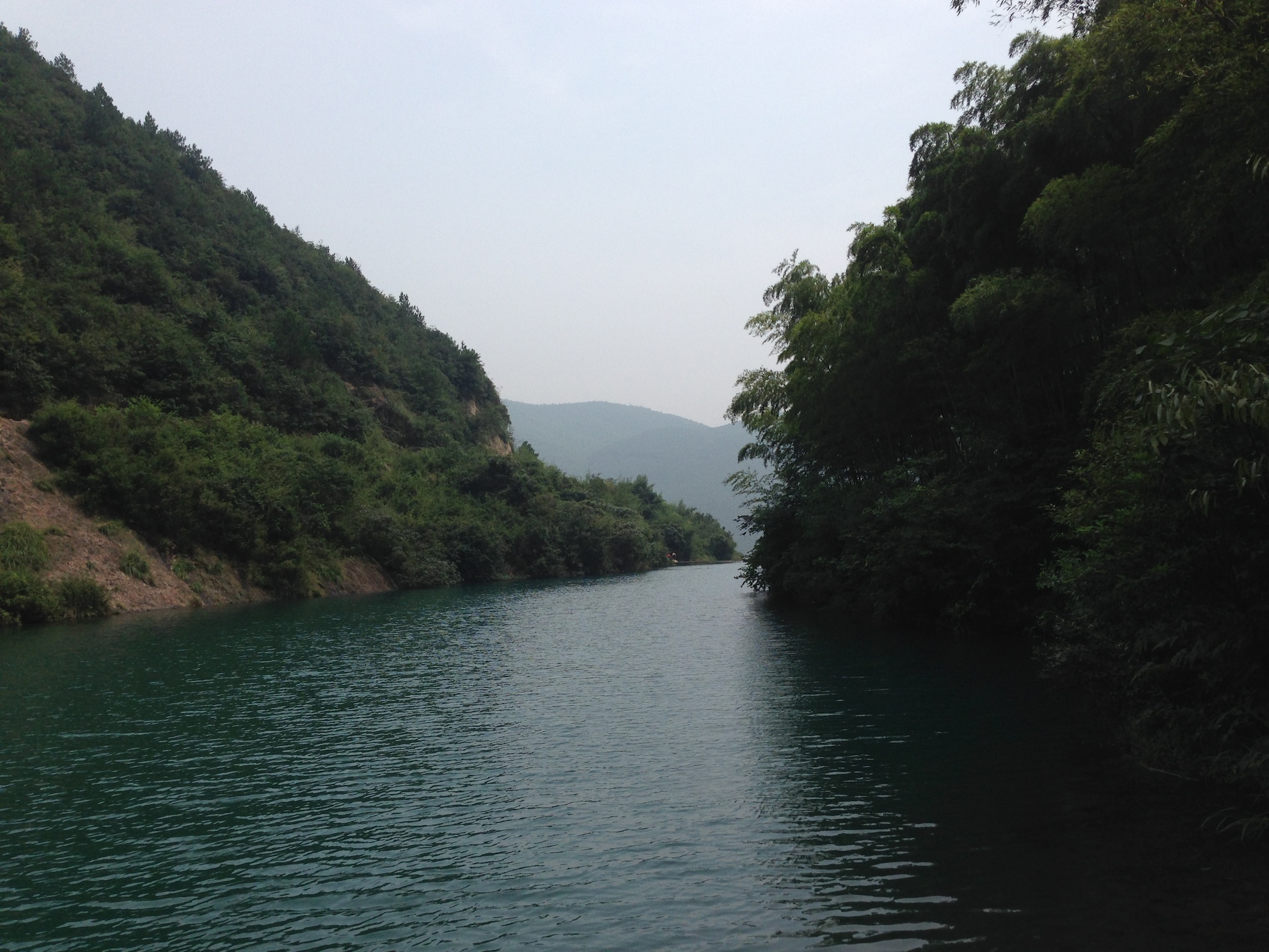 IMG_7877.JPG