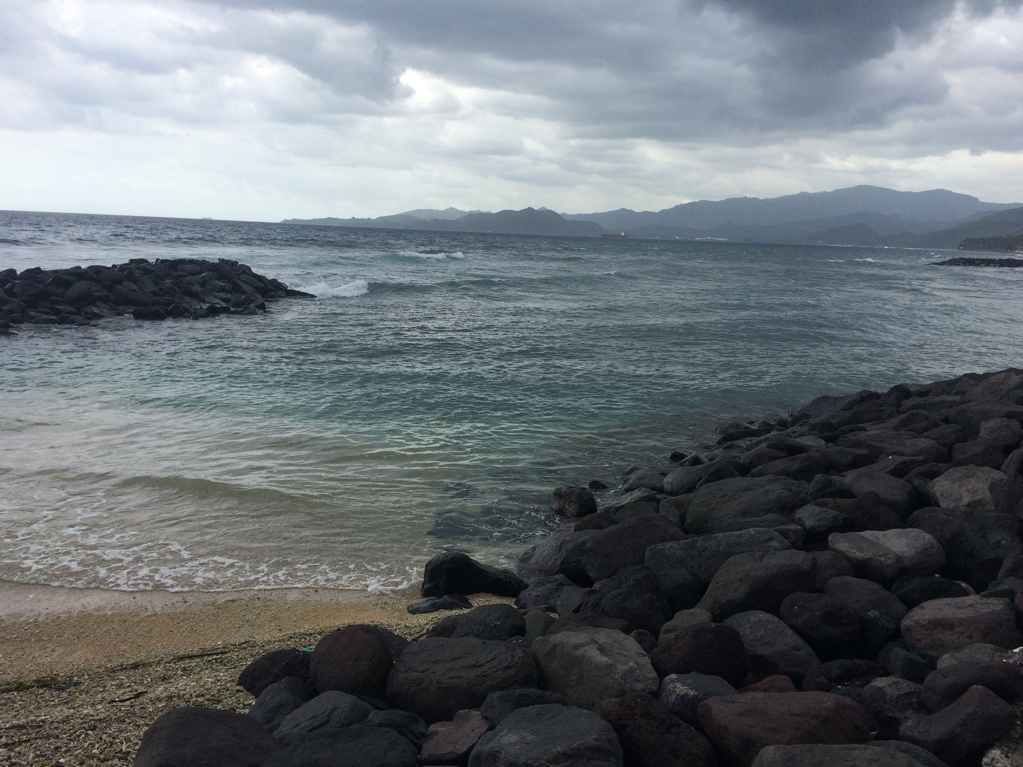 img_0317_copy.JPG