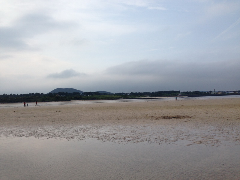 img_3314_resize.JPG