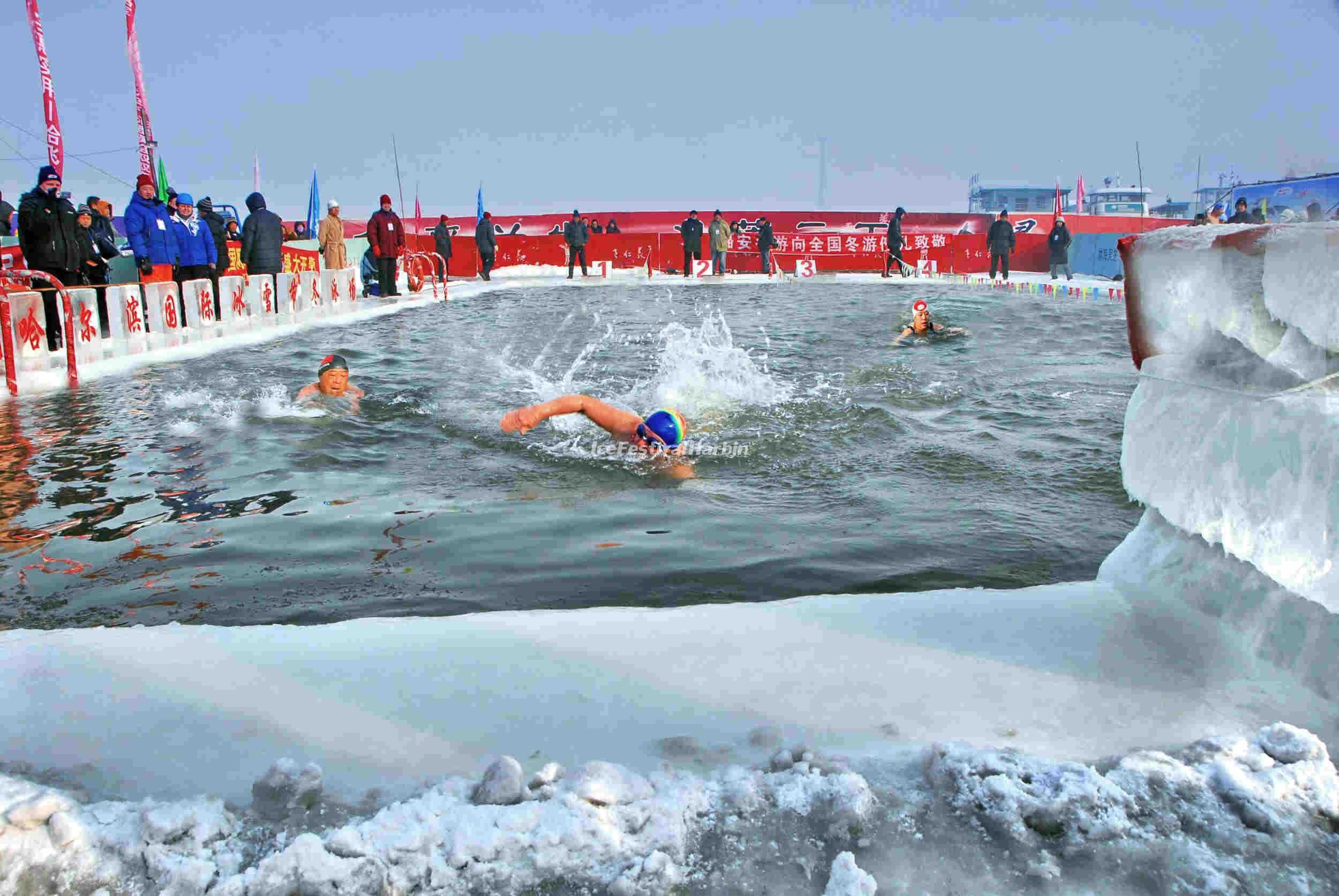 swimming.jpg