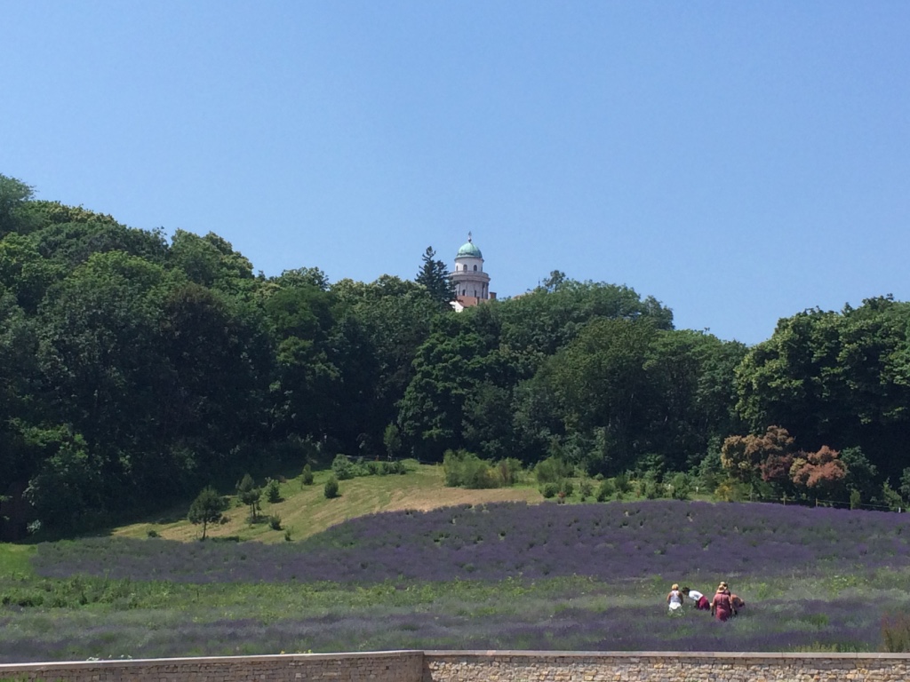 thumb_img_4093_1024.jpg