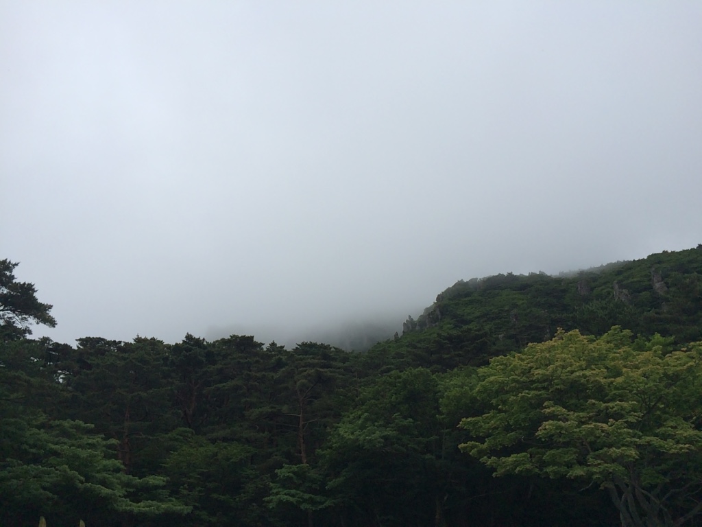 thumb_img_4776_1024.jpg