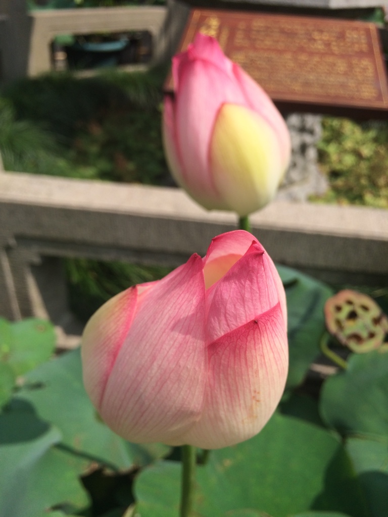 thumb_img_5094_1024.jpg