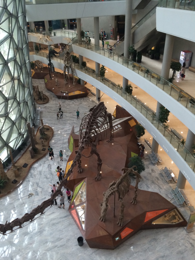 thumb_img_5295_1024.jpg