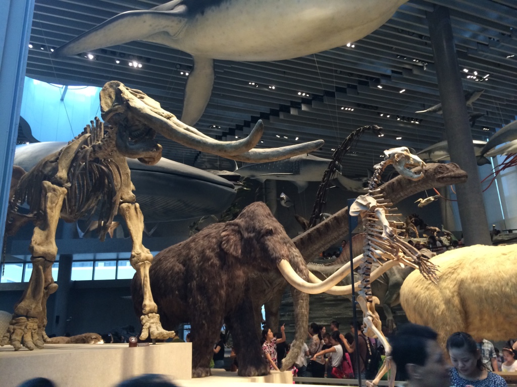 thumb_img_5296_1024.jpg