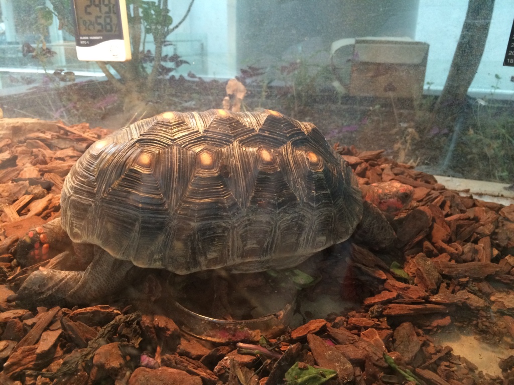 thumb_img_5303_1024.jpg
