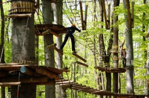 Adventure-Park-Challenge-Budapest kicsi.jpg