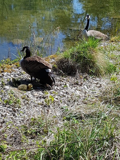 20170430_114011.jpg