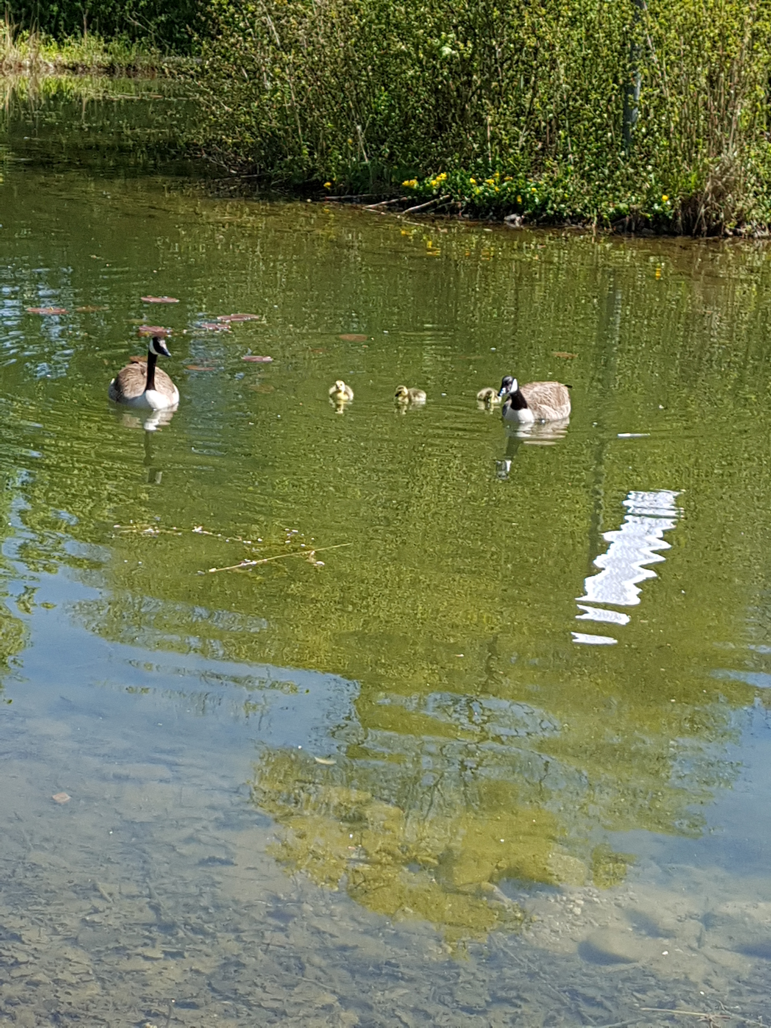 20170430_115113.jpg