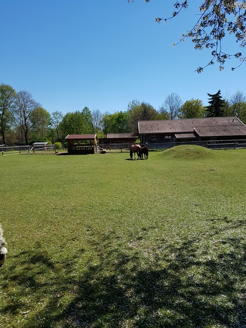 20170430_115625.jpg
