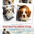 Egy kutya négy útja