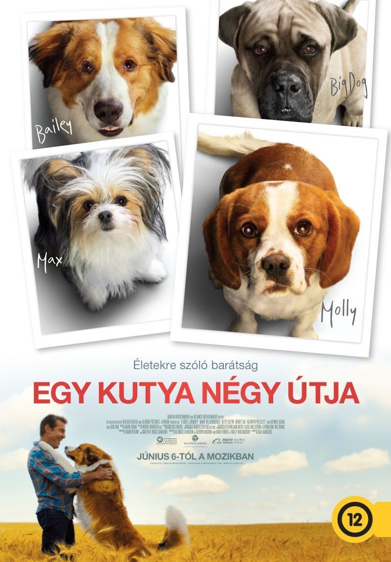 2009-egy-kutya-negy-utja_39546.jpg