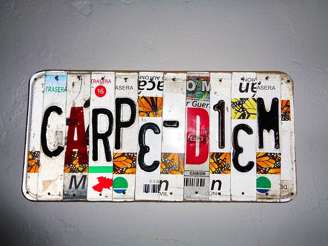 carpe-diem-6035487_640.jpg