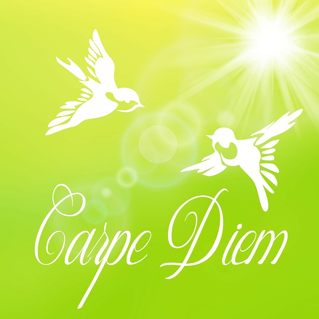 carpe-diem-881056_640.jpg