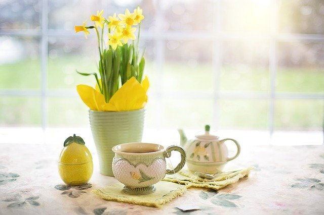 daffodils-1316127_640.jpg