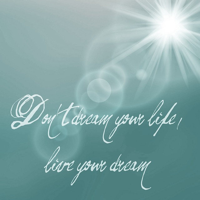 dreams-not-your-life-881080_640.jpg