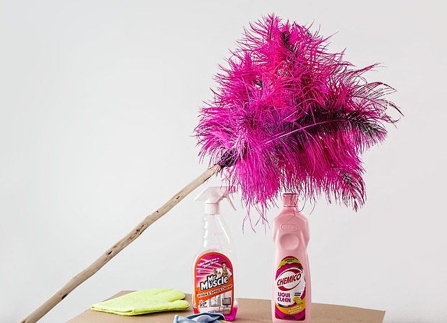feather-duster-709124_640.jpg