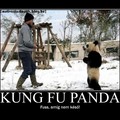 Kung Fu Panda