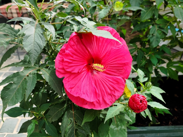 Gondolataim az írásról